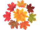 Brindilles et feuilles artificielles