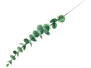 Fleurs artificielles sur tige