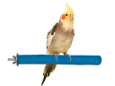 Perchoirs pour oiseaux et perroquets