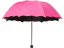 Regenschirme für Damen