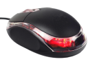 Souris filaires