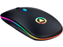 Souris