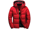 Vestes d'hiver homme