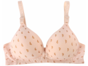 Women’s Bras