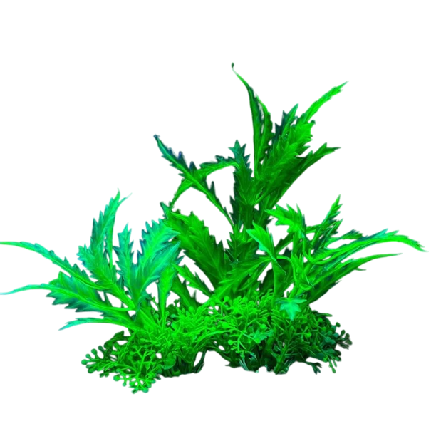 Kunstpflanze für das Aquarium 14 cm Dekorative Wasserpflanze Weichplastik Realistische Simulation Versteck für Fische Aquarien-Dekoration