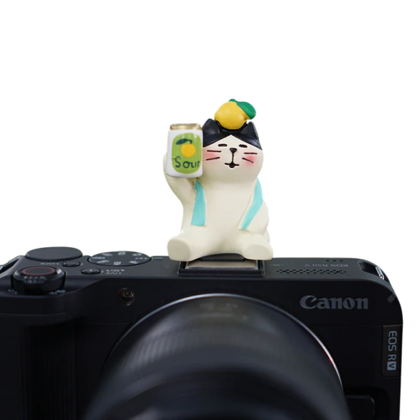 Blixkåpa för kamera med motiv av sittande katt med citron för Sony Nikon Canon Fuji Fujifilm Pentax Leica Olympus universellt skydd 1