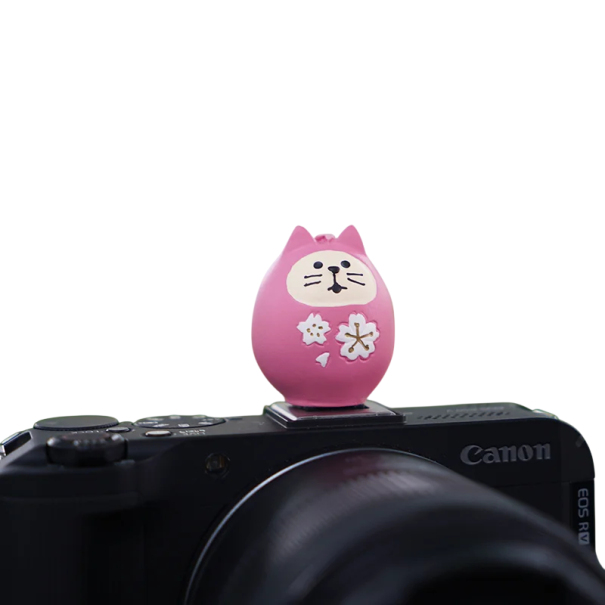 Kamera blixtskydd Universell fotfäste Dekorativt skydd kattmotiv i rosa ägg för Sony Nikon Canon Fuji Pentax Leica Olympus 1