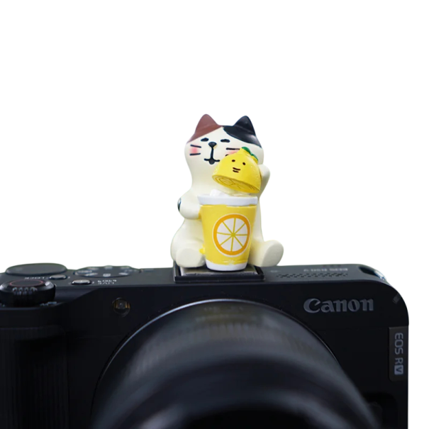Kamera blixtskydd Universell fotfäste Dekorativt skydd kattmotiv med dryck för Sony Nikon Canon Fuji Pentax Leica Olympus 1