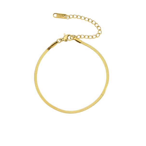 Unisex armband av rostfritt stål orm kedja 17-22cm 2mm Justerbart armband av rostfritt stål guld