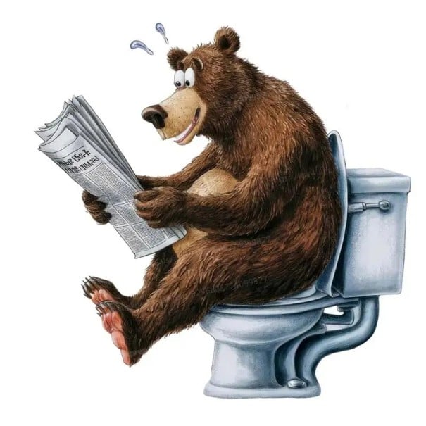 Divertida pegatina para inodoro con diseño de oso 30 cm decoración de PVC resistente al agua para WC aspecto original y fácil aplicación 1