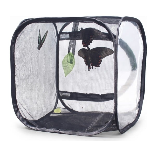 Netbur på sommerfugle og insekter 30 x 30 x 30 cm Sammenklappelig opdrætsboks med lynlås Polyester netstof Sort Til observation af larver 1