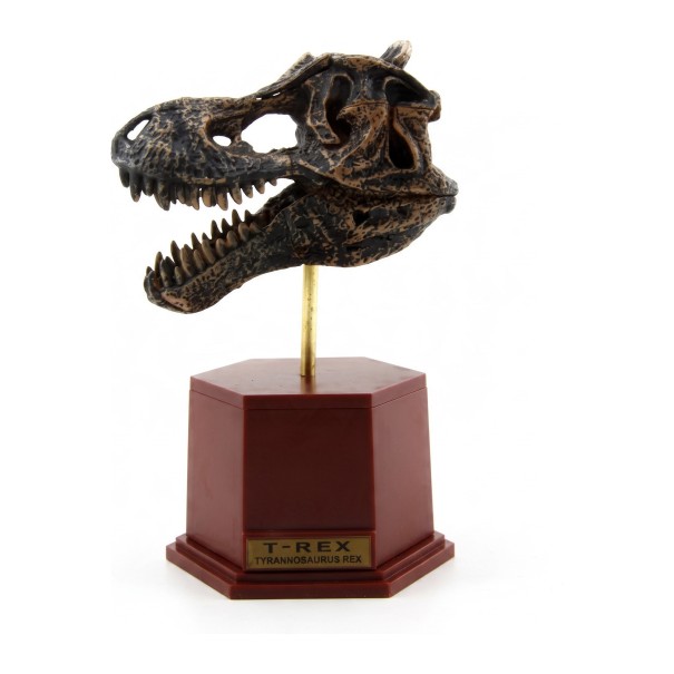 Modèle de crâne de T-rex à assembler sur un socle avec étiquette Hauteur 14 cm Kit de construction en plastique fossile Décoration pour étagère 1