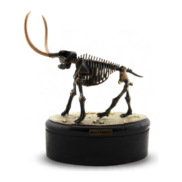Modèle de squelette de mammouth à assembler sur socle rond Longueur 14 cm Hauteur 17 cm Kit de construction en plastique fossile Décoration 1