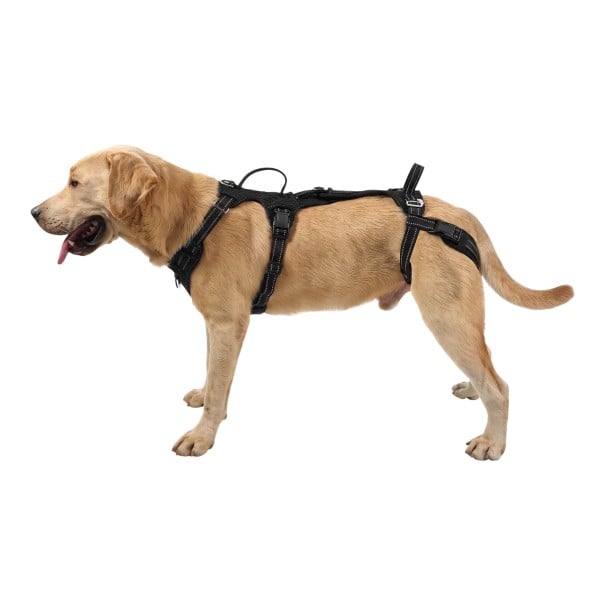 Støtteharness til hunde med to håndtag til løft og transport Størrelse S Hals 35,5-41,9 cm Bryst 35,5-44 cm Refleksive elementer Sort 1