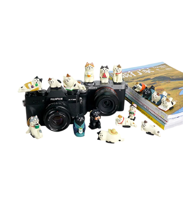 17 pièces Cache de flash d'appareil photo Support universel Protection décorative motif chat avec divers détails pour Sony Nikon Canon Fuji Pentax 1