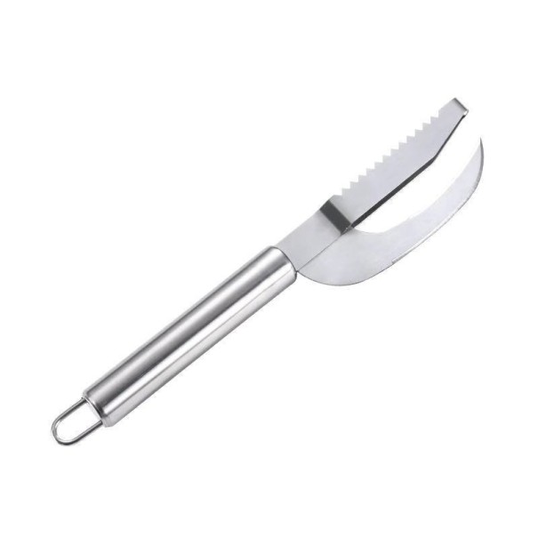 2-in-1 visschraper en mes
