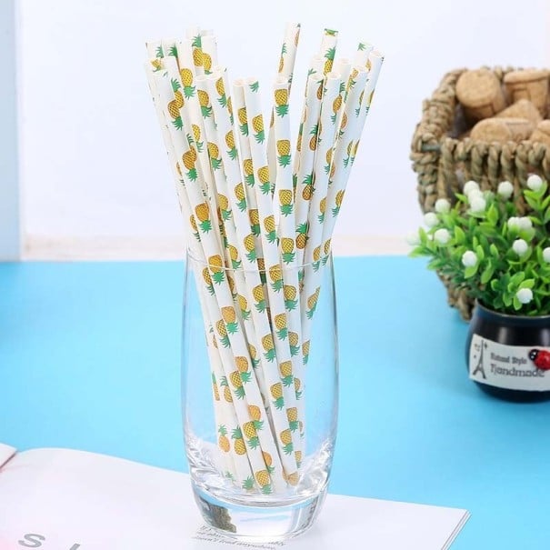 25 Paper Straws with Fruit Design 3