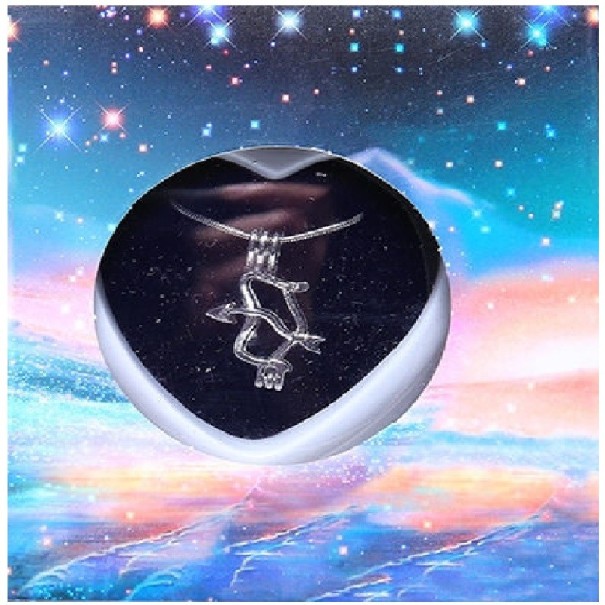 Kvinnors stjärntecken halsband 9