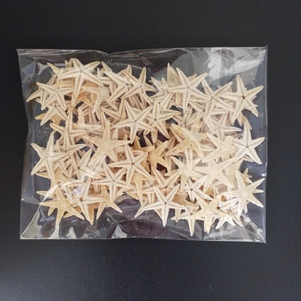 Dekorativ mini sjöstjärna 100 st 1