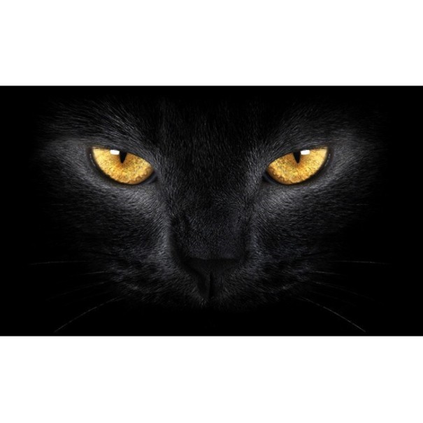 3D Car Rear Window Sticker 11