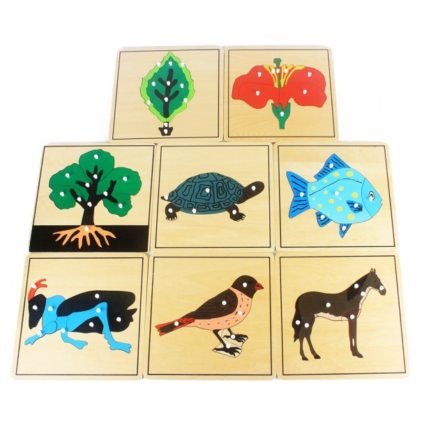 3D-Puzzle aus Holz