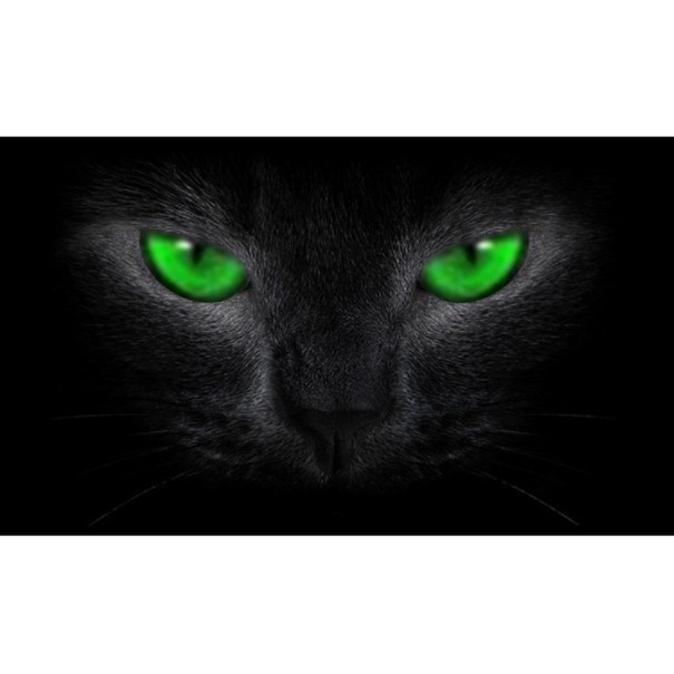 3D-tarra auton takaikkunaan 1