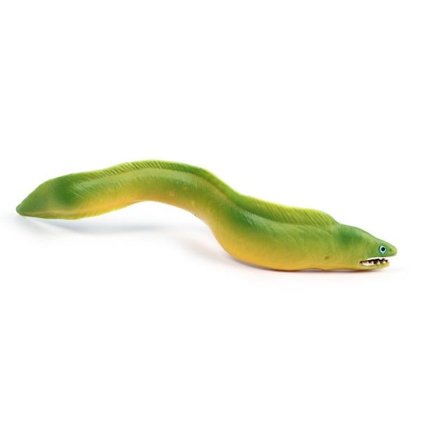 Grön ål figur 1