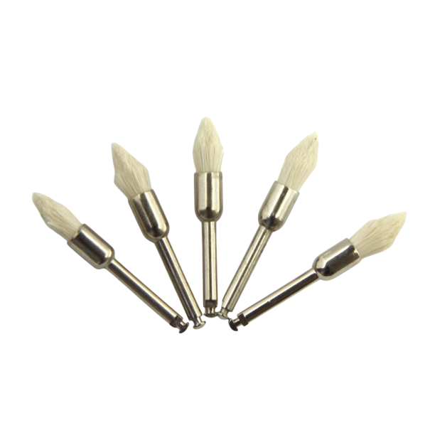 5 pz Spazzole da lucidatura dentale a cono in setole di capra per micromotore Spazzola morbida per lucidare denti naturali e ceramici 1