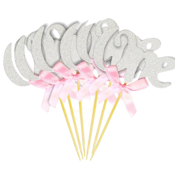 6 roze spiesjes zilver