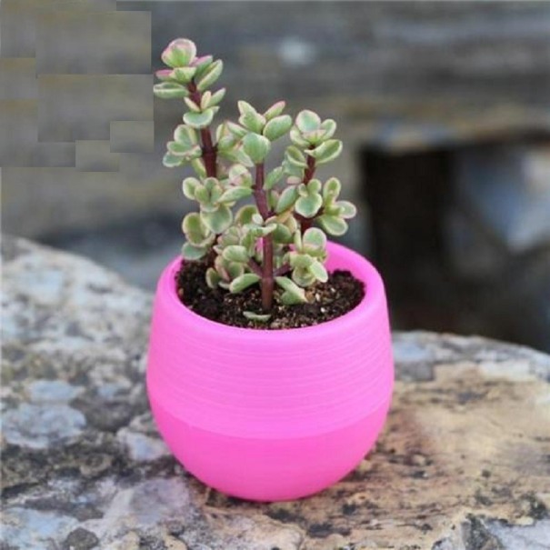 Blomkruka i plast med vattenreservoar fuchsia