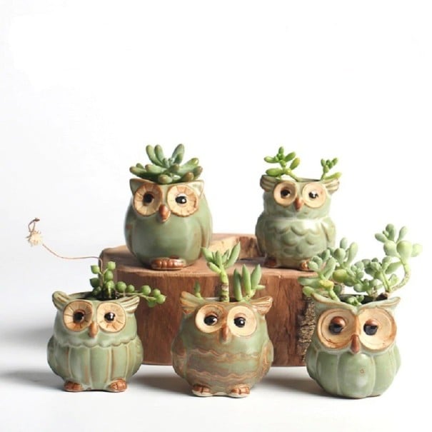 Ensemble de pots de fleurs en forme de hibou 5 pcs 1