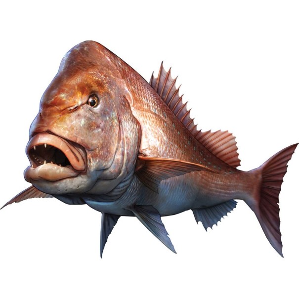 Bildekal fisk B495 1