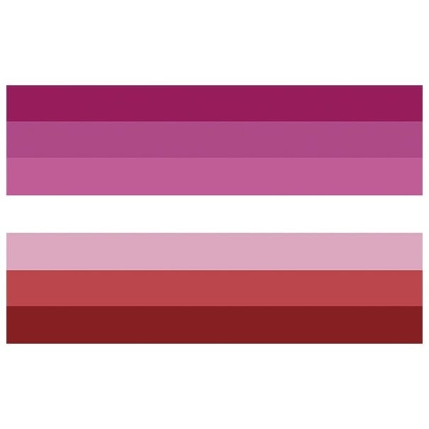 Drapeau de fierté lesbienne 90 x 150 cm 1