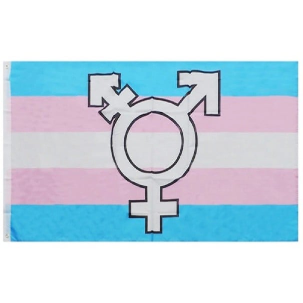 Drapeau de fierté transgenre 90 x 150 cm 1