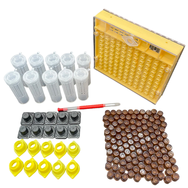 Drottningbiuppfödningssats Prelarva-kit 1