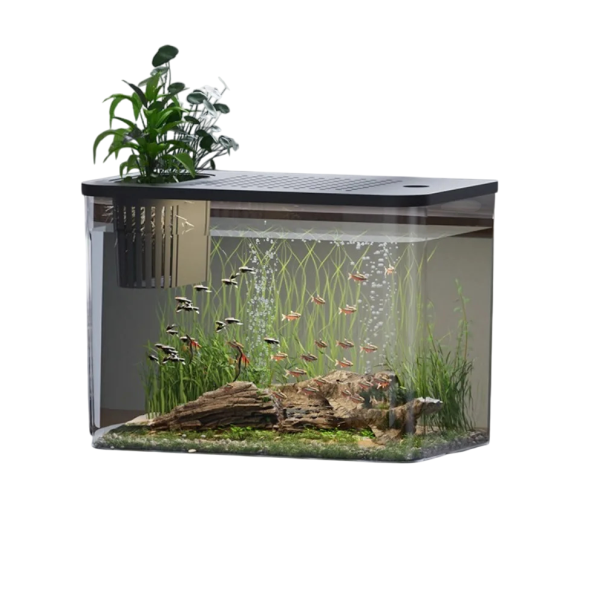 Acquario con coperchio per la coltivazione di piante acquatiche 31,6 x 18 x 22,5 cm Acquario da tavolo decorativo Design moderno per interni Allevamento di pesci 1