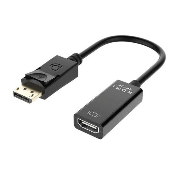Adaptateur DisplayPort mâle vers HDMI femelle pour connecter un ordinateur à un moniteur ou une télévision avec entrée HDMI Longueur 15 cm Finition 2