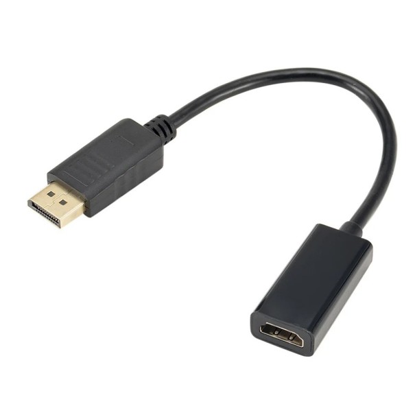 Adaptateur DisplayPort vers HDMI 1080p 25 cm Adaptateur DP vers HDMI Câble Connexion Ordinateur Portable PC Moniteur TV Plug & Play Transfert d'image 1