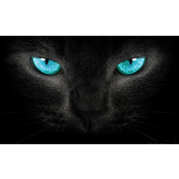 Adesivo 3D per il lunotto dell'auto 9