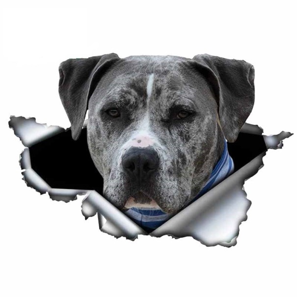 Adesivo per auto cane A1637 5