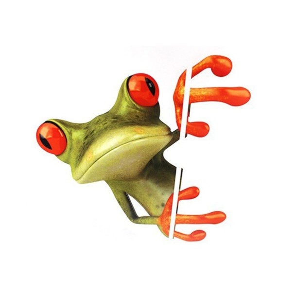 Adesivo per auto rana 2