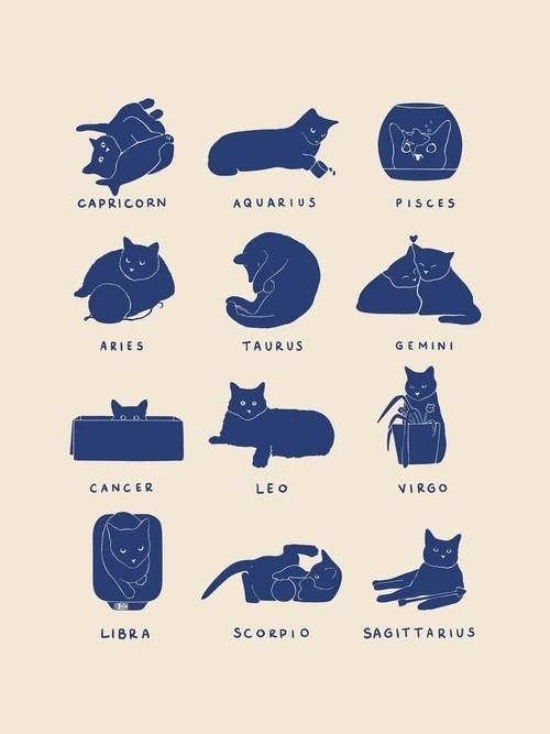 Affiche murale chat signes du zodiaque peinture esthétique 20x30 cm toile beige avec motifs bleus décoration murale 1