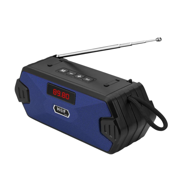 Altoparlante Bluetooth Portatile 35 W con Radio FM, Ingressi USB, TF, AUX, Funzione TWS, Membrana dei Bassi, Microfono, Compatibile con PC e Telefono blu