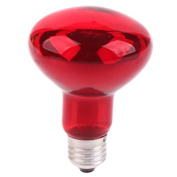 Ampoule de physiothérapie infrarouge 100W E27 Lumière rouge Thérapie des muscles Soulagement de la douleur Articulations Circulation sanguine Relaxation Lampe chauffante 1