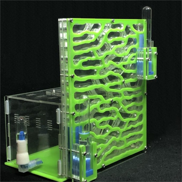 Ant Farm green