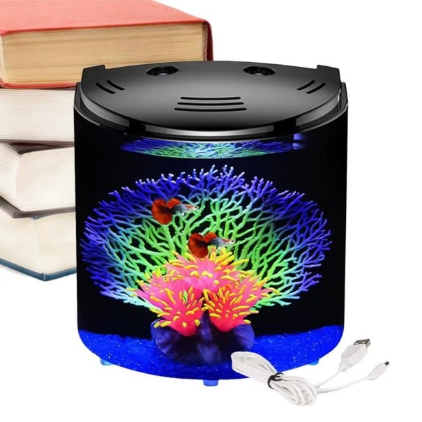 Aquarium avec éclairage LED et système de filtration 20 x 20 x 14 cm Ensemble aquaristique moderne Petit aquarium avec filtre Réservoir élégant noir