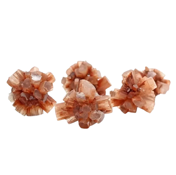 Aragonite floral du Maroc forme irrégulière 1,5–3 cm pierre naturelle structure cristalline brune minéral décoratif pour collection 1