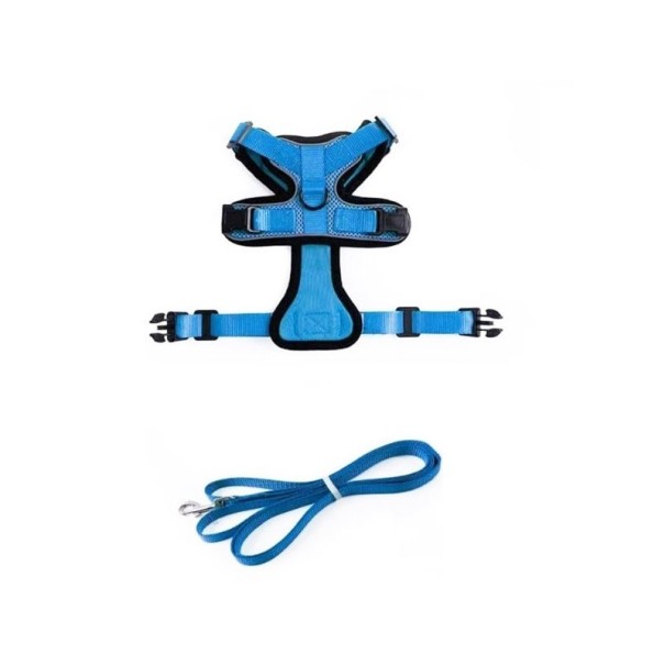 Arnés para gatos azul S