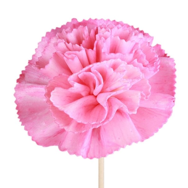 Aroma diffuser pinde med blomster 5 stk. 7