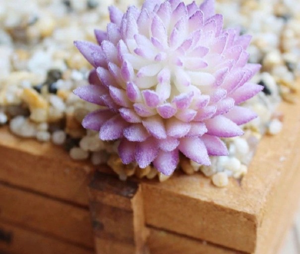 Artificial Succulent 11